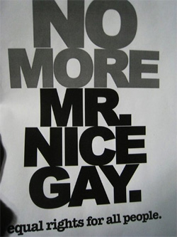 mrnicegay.jpg